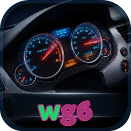 wg6